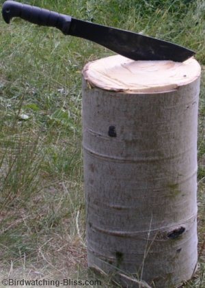 how to build a birdhouse from log