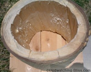 hollow log bird house
