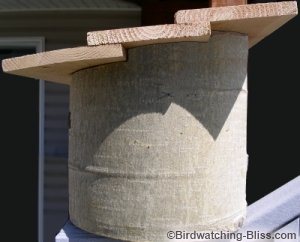 how to build a log bird house - this one was made from an aspen log