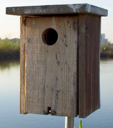 make sure you use the correct size for your birdhouse