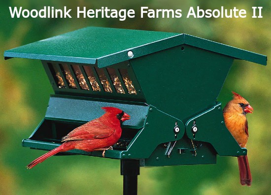 What Is The Best Cardinal Bird Feeder Top Picks And Feeding Tips   Best Hopper Bird Feeder Cardinals 