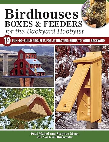 Mini Wood Bird Houses for DIY Crafts (4 Designs, 8 Count)