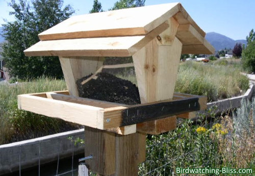 Squirrel-Proof Cedar Bird Feeder Woodworking Plan – Garden Gate