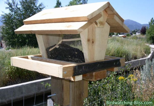 Free Bird Feeder Plans Easy Step By Step Instructions