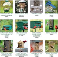 Best Hopper Bird Feeders Review (2024)