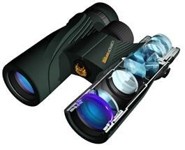 best binoculars with camera for bird watching