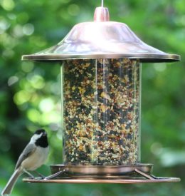 Tube Bird Feeders - Top Rated, Easy To Fill and Clean