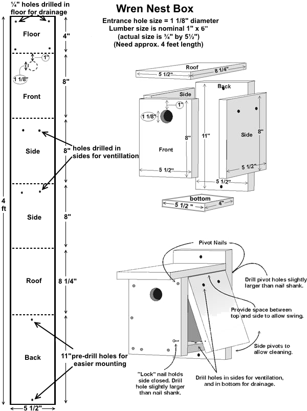 Free Wren House Plans Easy DIY Project