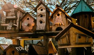 Free Bird House Designs for All Types of Birds