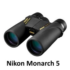 Best Binoculars for Bird Watching (2020)